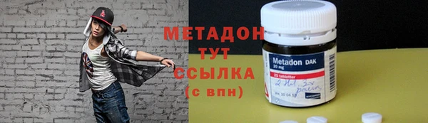 индика Долгопрудный