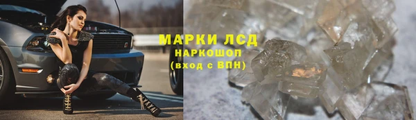 каннабис Бердск