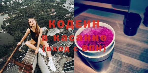 индика Долгопрудный