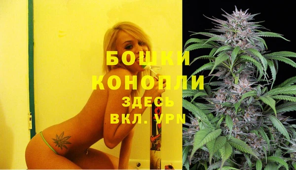 spice Новый Уренгой
