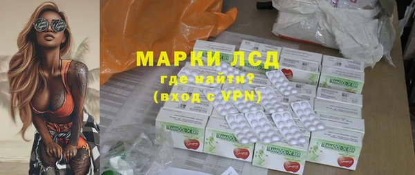 индика Долгопрудный