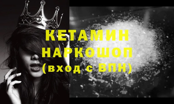 индика Долгопрудный
