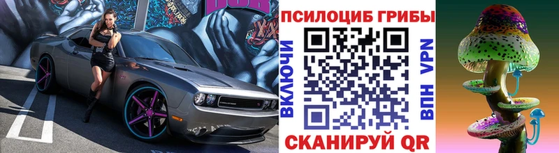 Псилоцибиновые грибы Psilocybine cubensis  Березники 