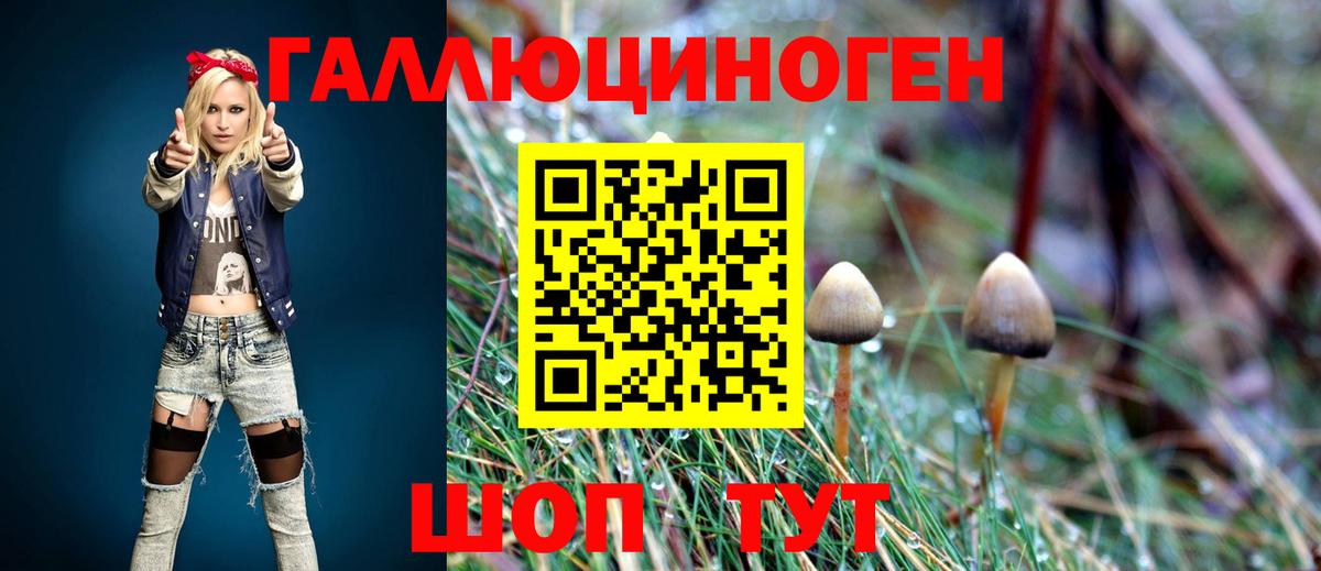 Березники  Псилоцибиновые грибы MAGIC MUSHROOMS  Вход с VPN 
