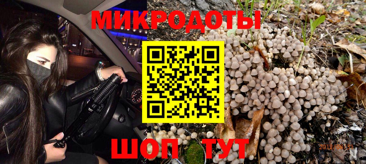 Галлюциногенные грибы Cubensis Березники